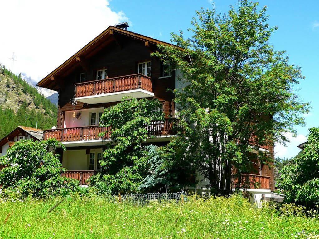 شقة Haus Alpenperle ساس-الماغيل المظهر الخارجي الصورة