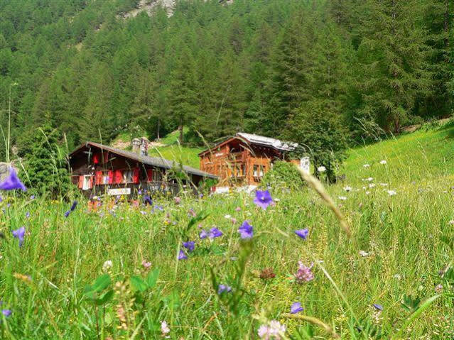 شقة Haus Alpenperle ساس-الماغيل المظهر الخارجي الصورة