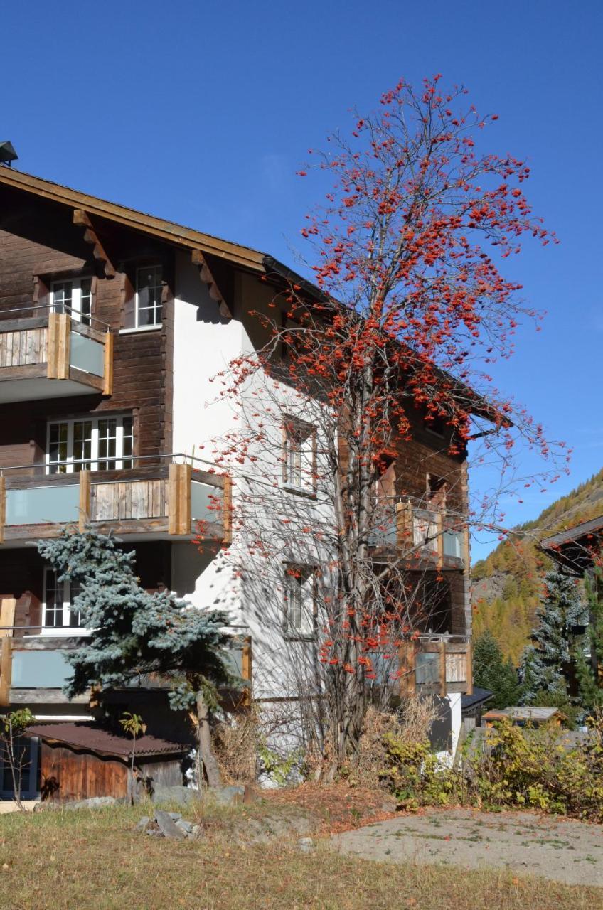 شقة Haus Alpenperle ساس-الماغيل المظهر الخارجي الصورة