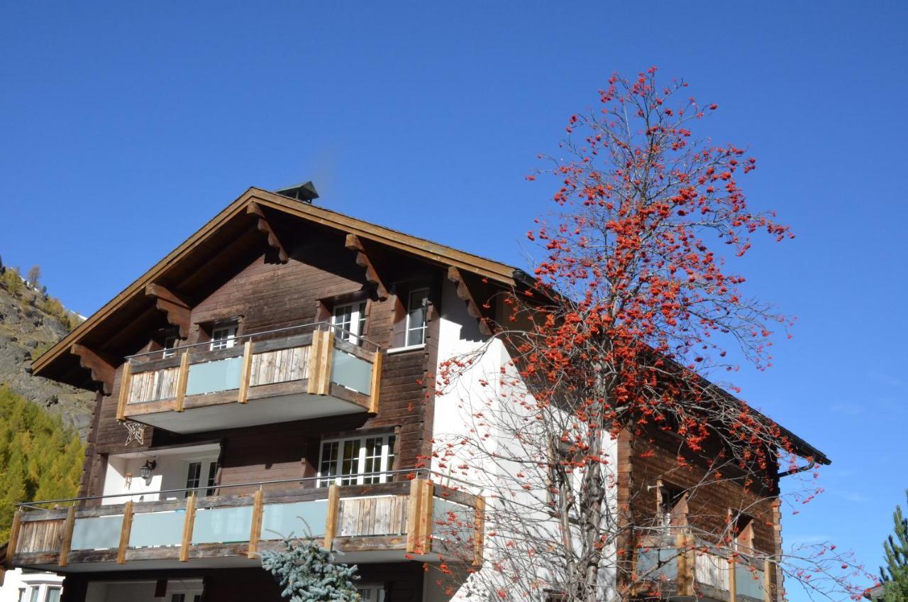 شقة Haus Alpenperle ساس-الماغيل المظهر الخارجي الصورة